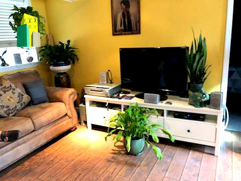 1714 Colden Avenue Apt #Bsmt